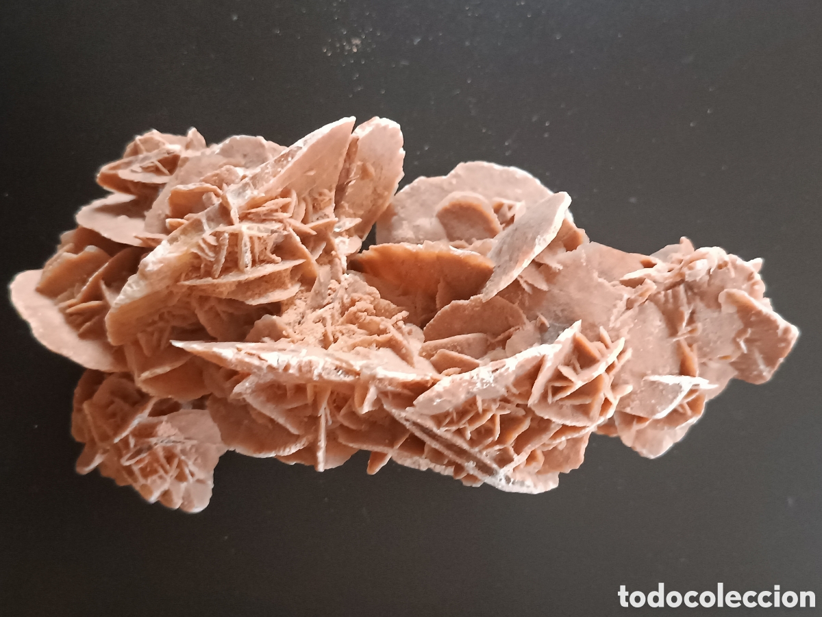 Coleccionismo de f&oacute;siles: Rosa del desierto - Foto 4