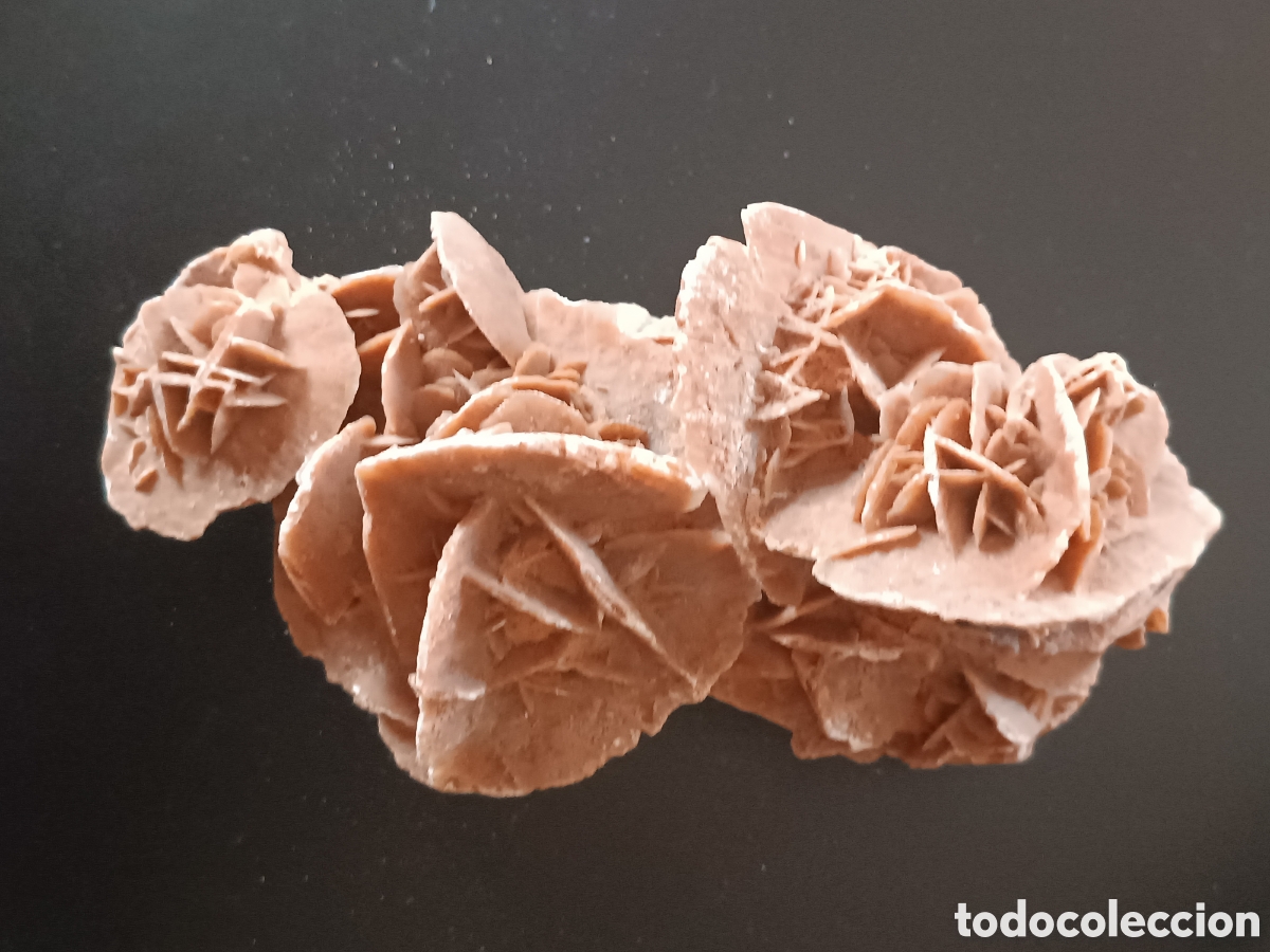 Coleccionismo de f&oacute;siles: Rosa del desierto - Foto 5