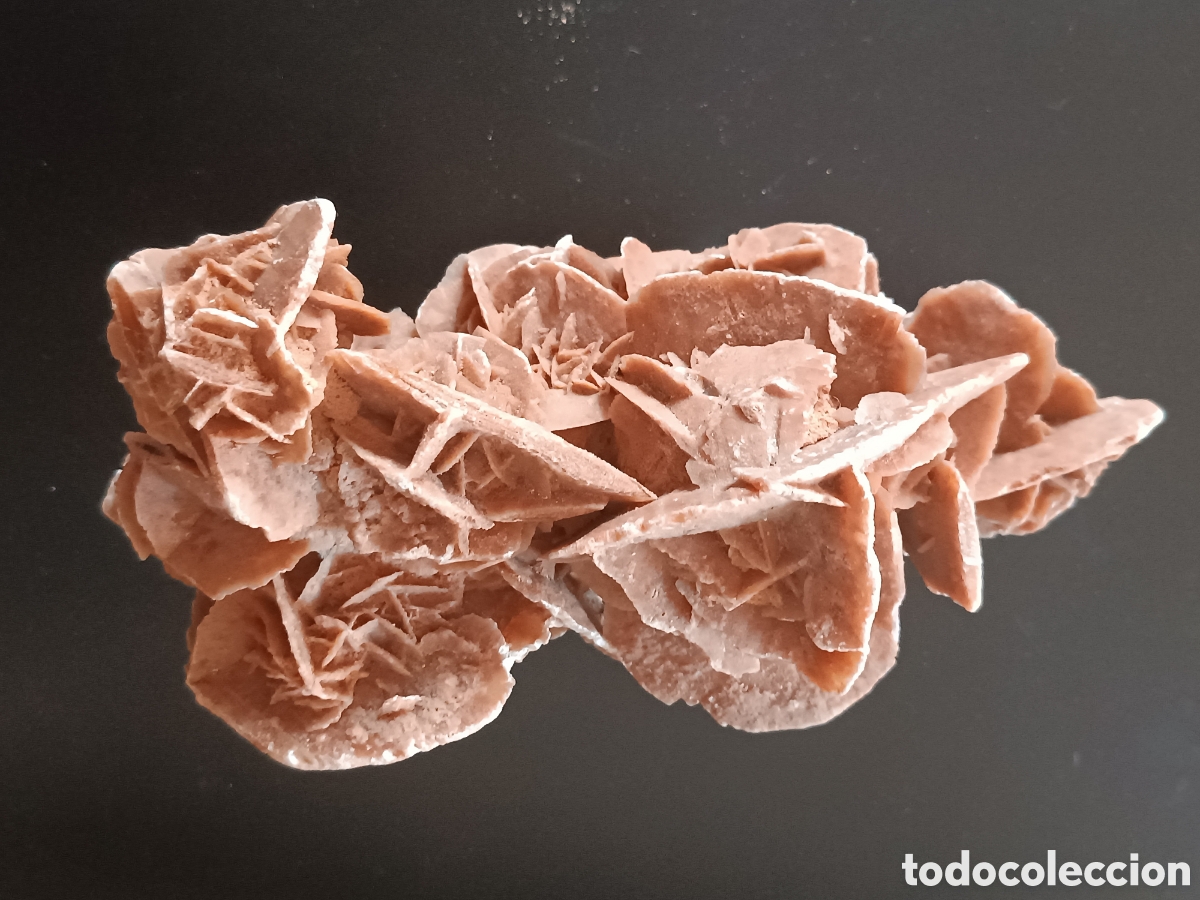 Coleccionismo de f&oacute;siles: Rosa del desierto - Foto 1