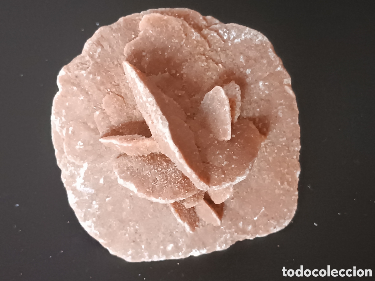 Coleccionismo de f&oacute;siles: Rosa del desierto - Foto 6
