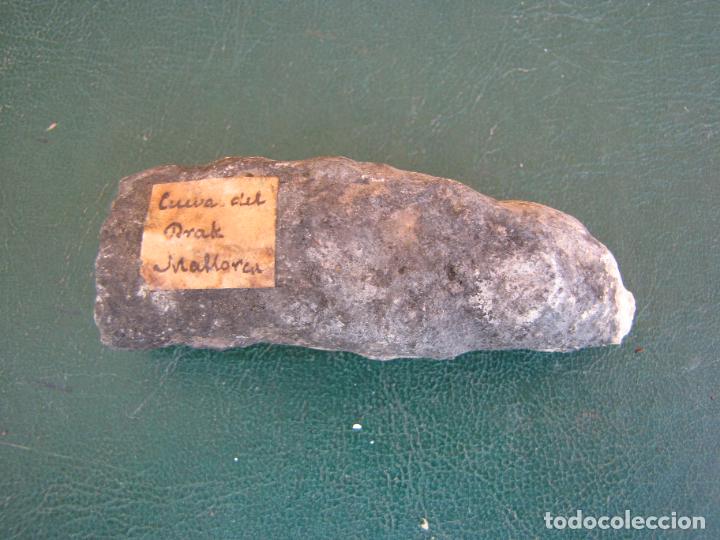 Coleccionismo de f&oacute;siles: 76.- Cueva del Drak. Mallorca - Foto 1