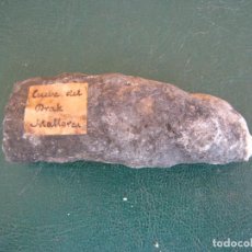 Coleccionismo de fósiles: 76.- CUEVA DEL DRAK. MALLORCA