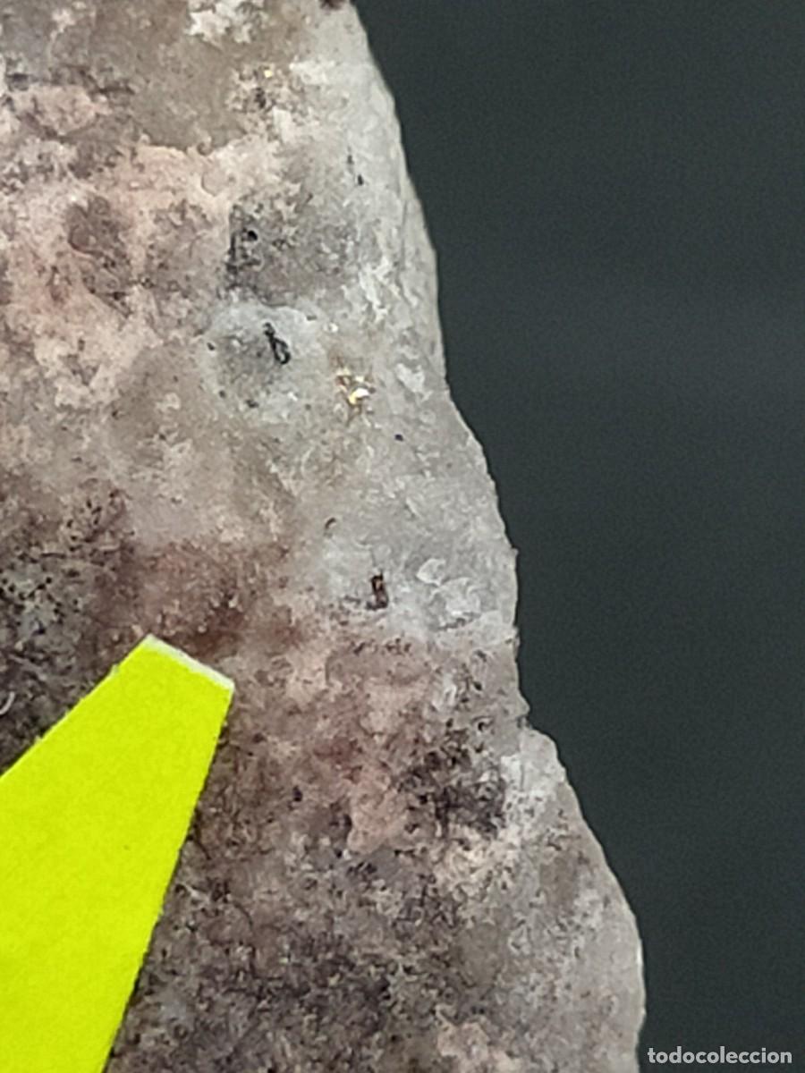 Coleccionismo de f&oacute;siles: ORO - MINERAL - Foto 2
