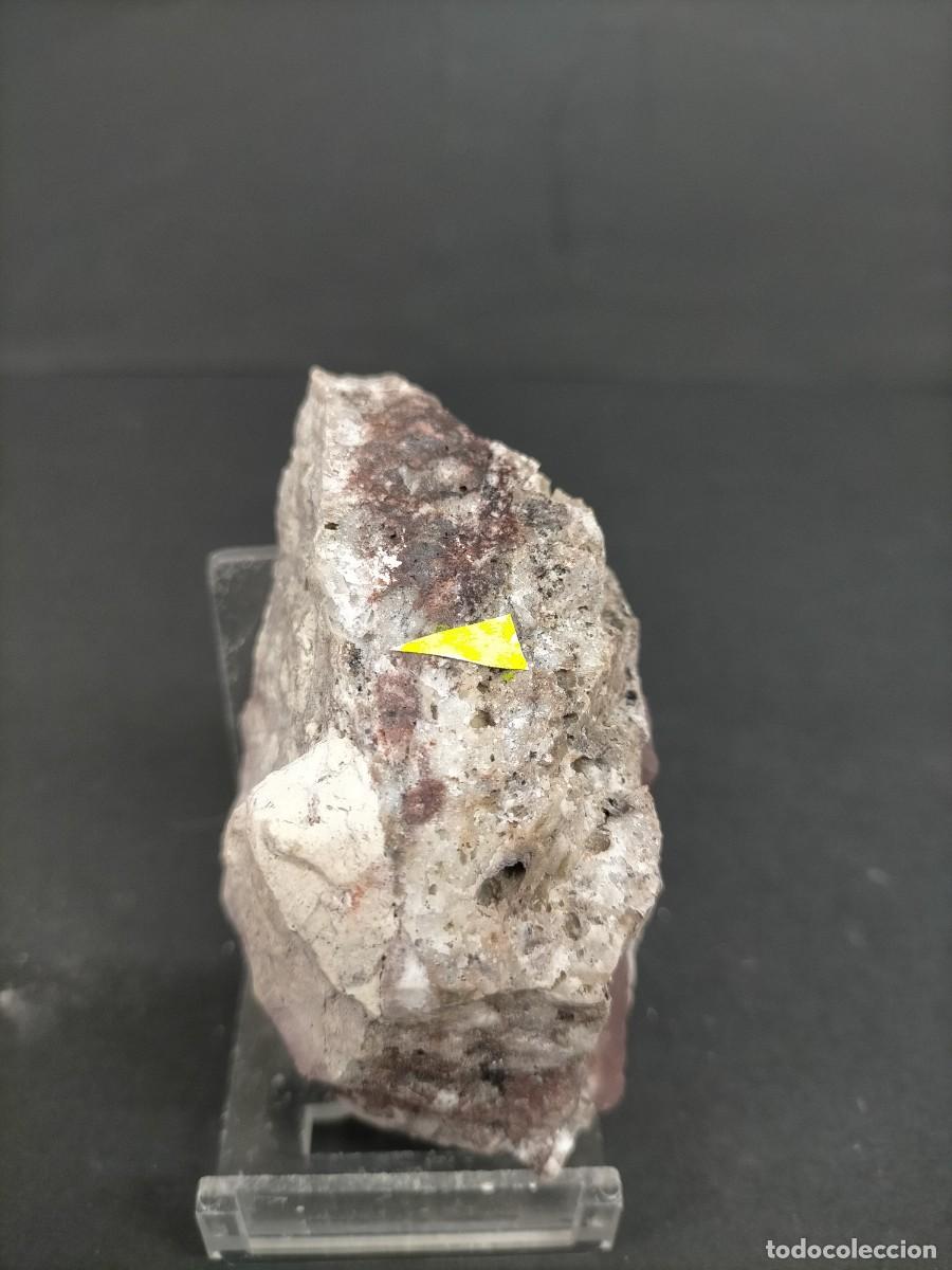 Coleccionismo de f&oacute;siles: ORO - MINERAL - Foto 3