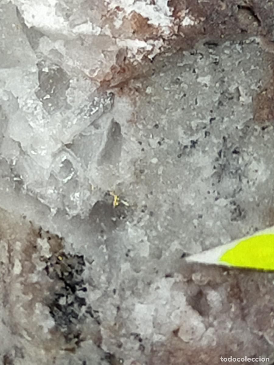 Coleccionismo de f&oacute;siles: ORO - MINERAL - Foto 4