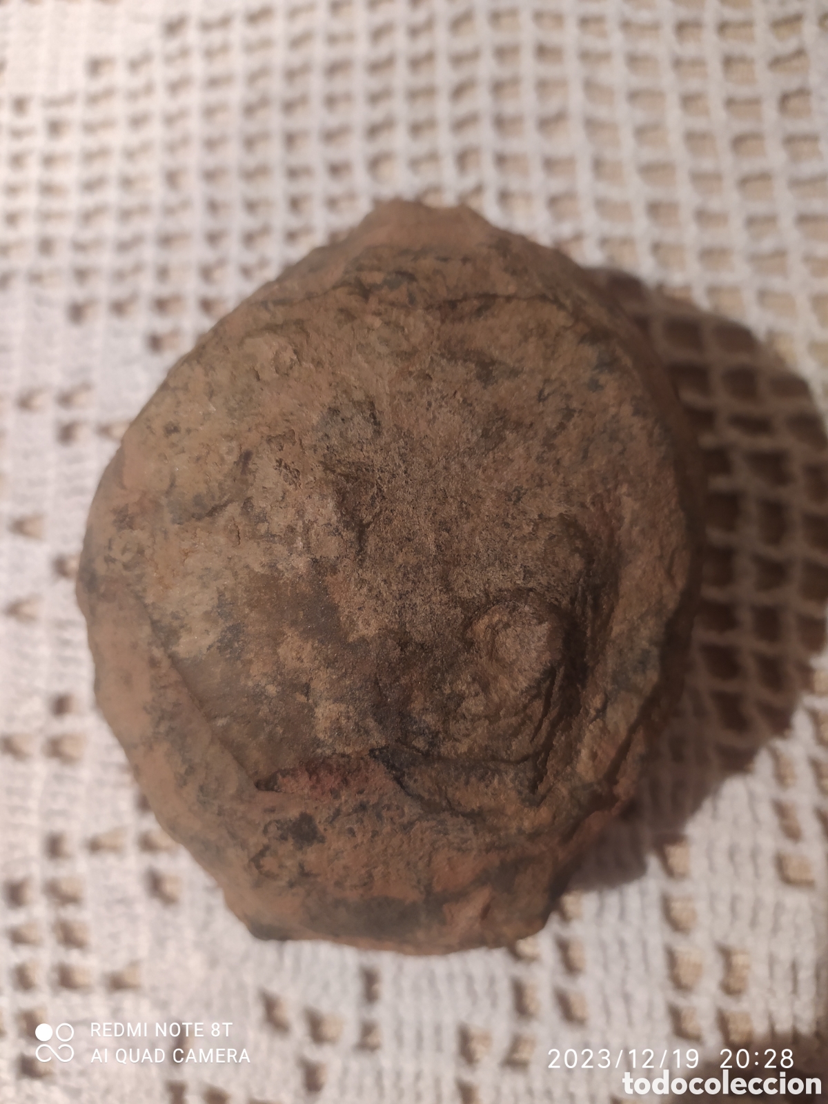 Coleccionismo de f&oacute;siles: Asaphus fosil - Foto 4