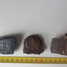 Coleccionismo de fósiles: 3 FÓSILES. CABALLO. ARMADILLO GIGANTE. TORTUGA. FÓSIL.
