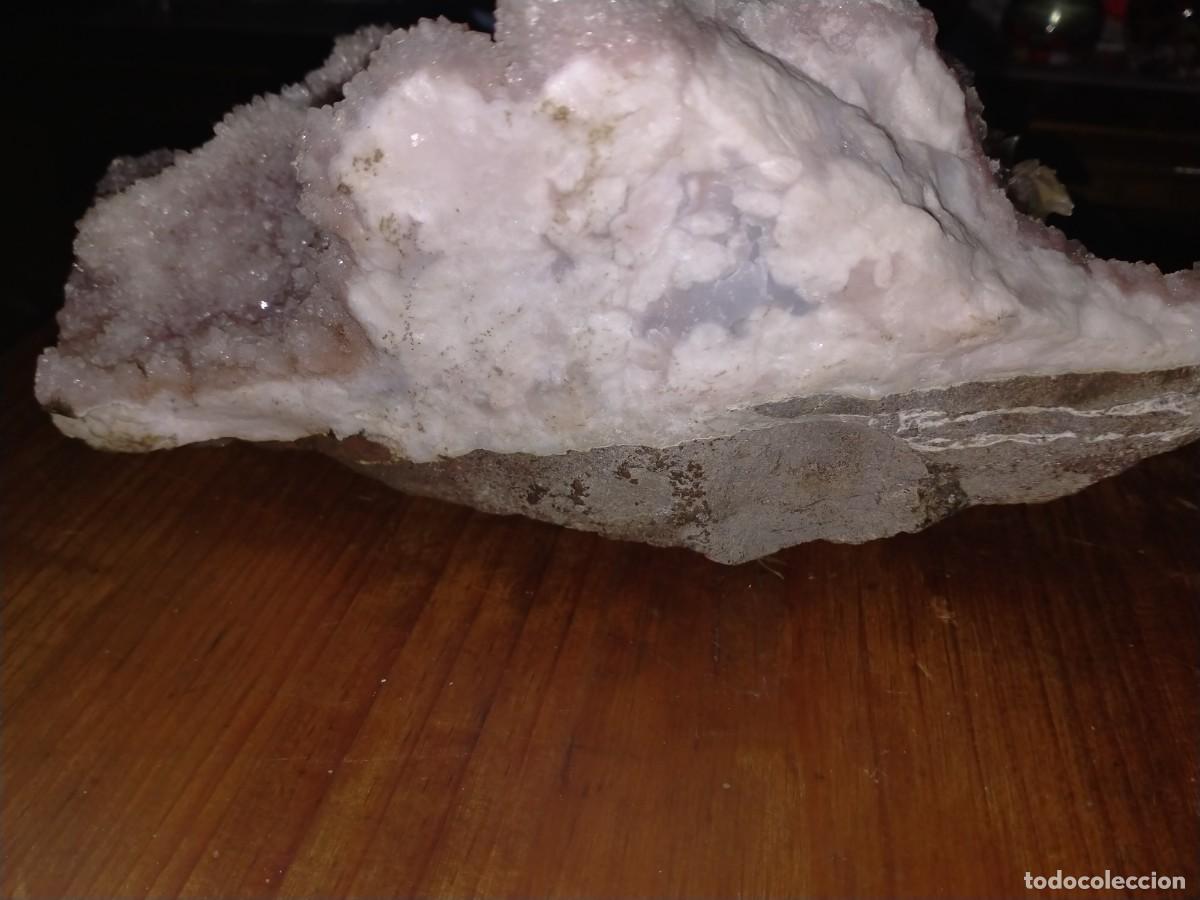 Coleccionismo de f&oacute;siles: FOSIL PIE CUARZO - Foto 3