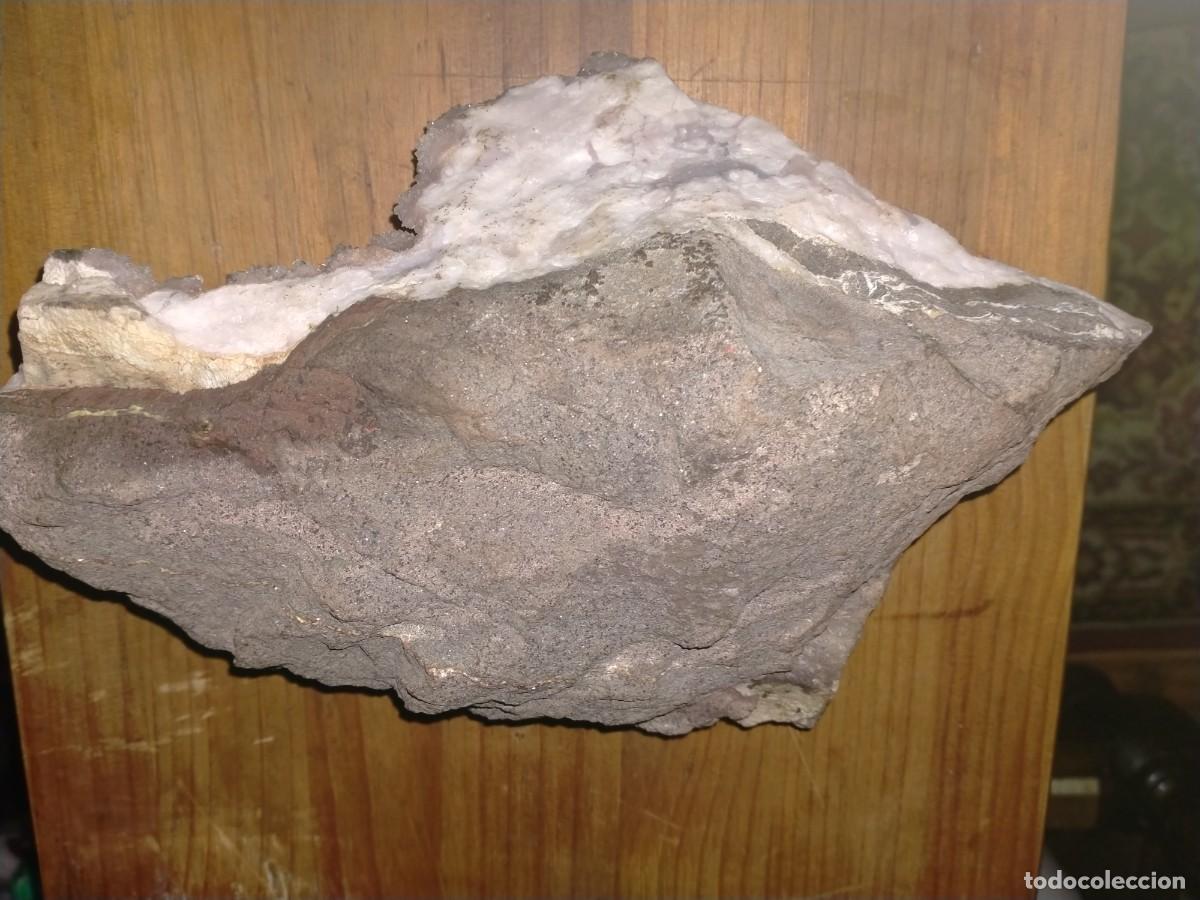 Coleccionismo de f&oacute;siles: FOSIL PIE CUARZO - Foto 4