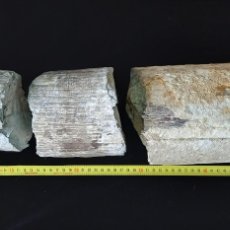 Coleccionismo de fósiles: TROZOS DE COLMILLO MAMUTH FÓSIL