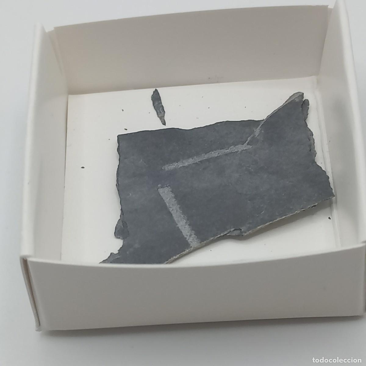 Coleccionismo de f&oacute;siles: GRAPTOLITES - MONOGRAPTUS. Cuenca - Foto 1
