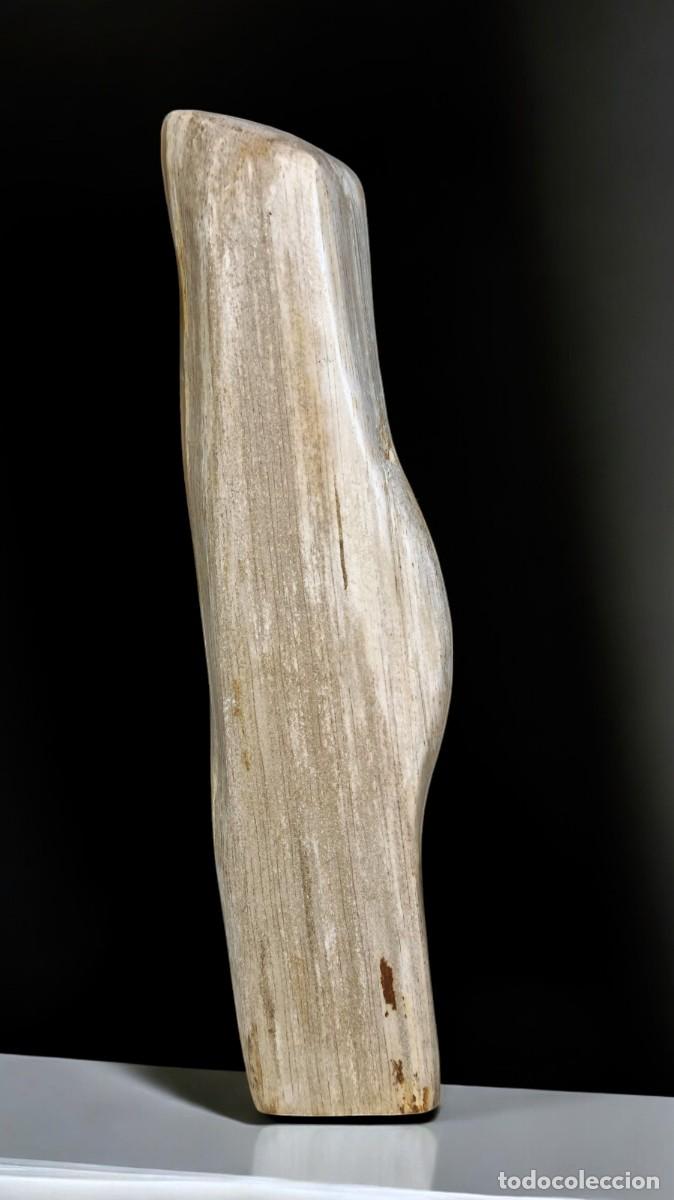 Coleccionismo de f&oacute;siles: Trozo de madera petrificada de Java, Indonesia - Foto 4