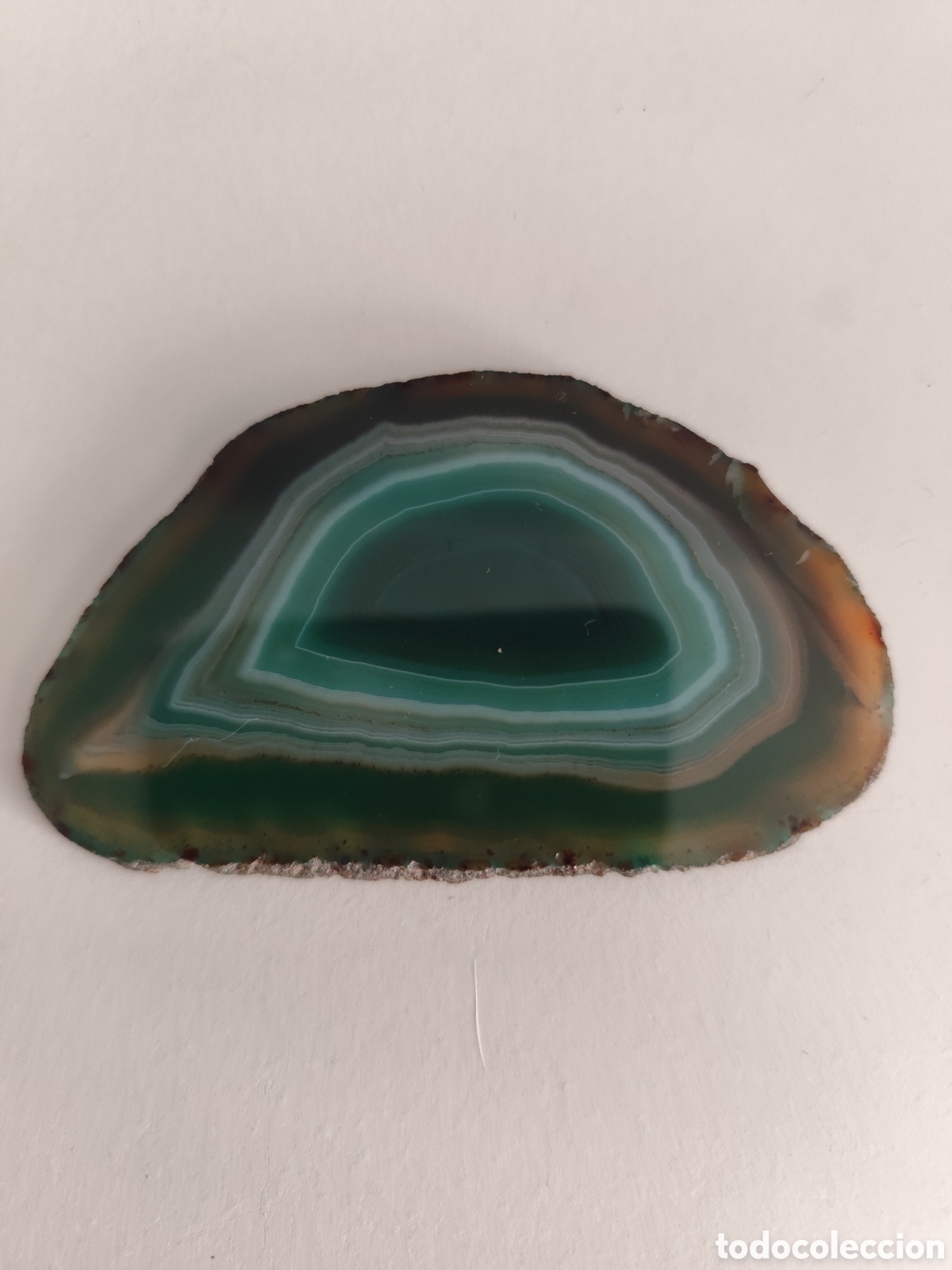 Coleccionismo de f&oacute;siles: Rebanada pulida de &aacute;gata