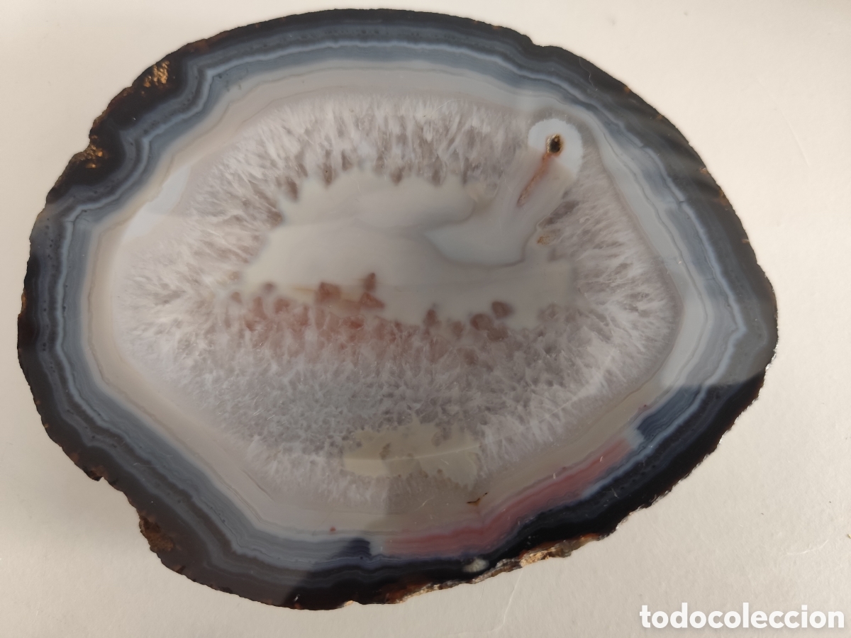 Coleccionismo de f&oacute;siles: Cenicero de geoda de &aacute;gata