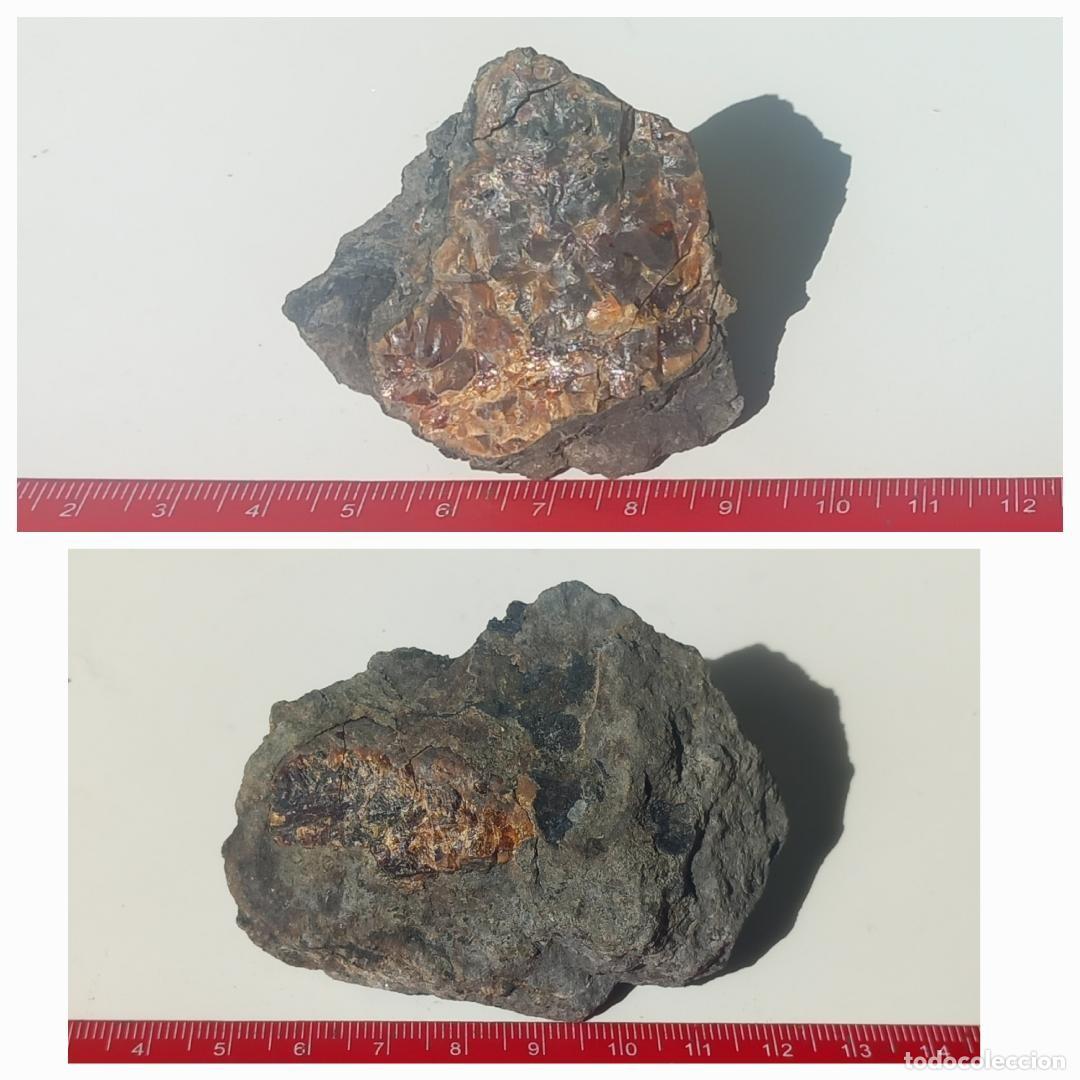 Coleccionismo de f&oacute;siles: 2 &Aacute;MBAR NATURAL. CRET&Aacute;CICO. MINERALES. F&Oacute;SIL. GEMAS.