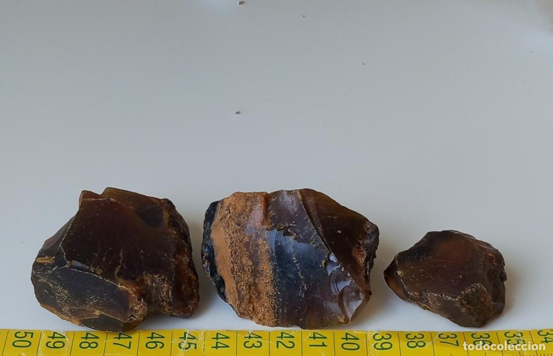 Coleccionismo de f&oacute;siles: TRES &Aacute;MBAR NATURAL. MINERALES. F&Oacute;SIL. GEMAS.