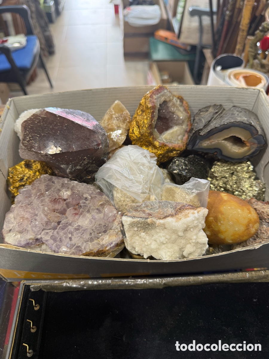 Coleccionismo de f&oacute;siles: Lote de minerales y f&oacute;siles ( &uacute;ltima fotograf&iacute;a)