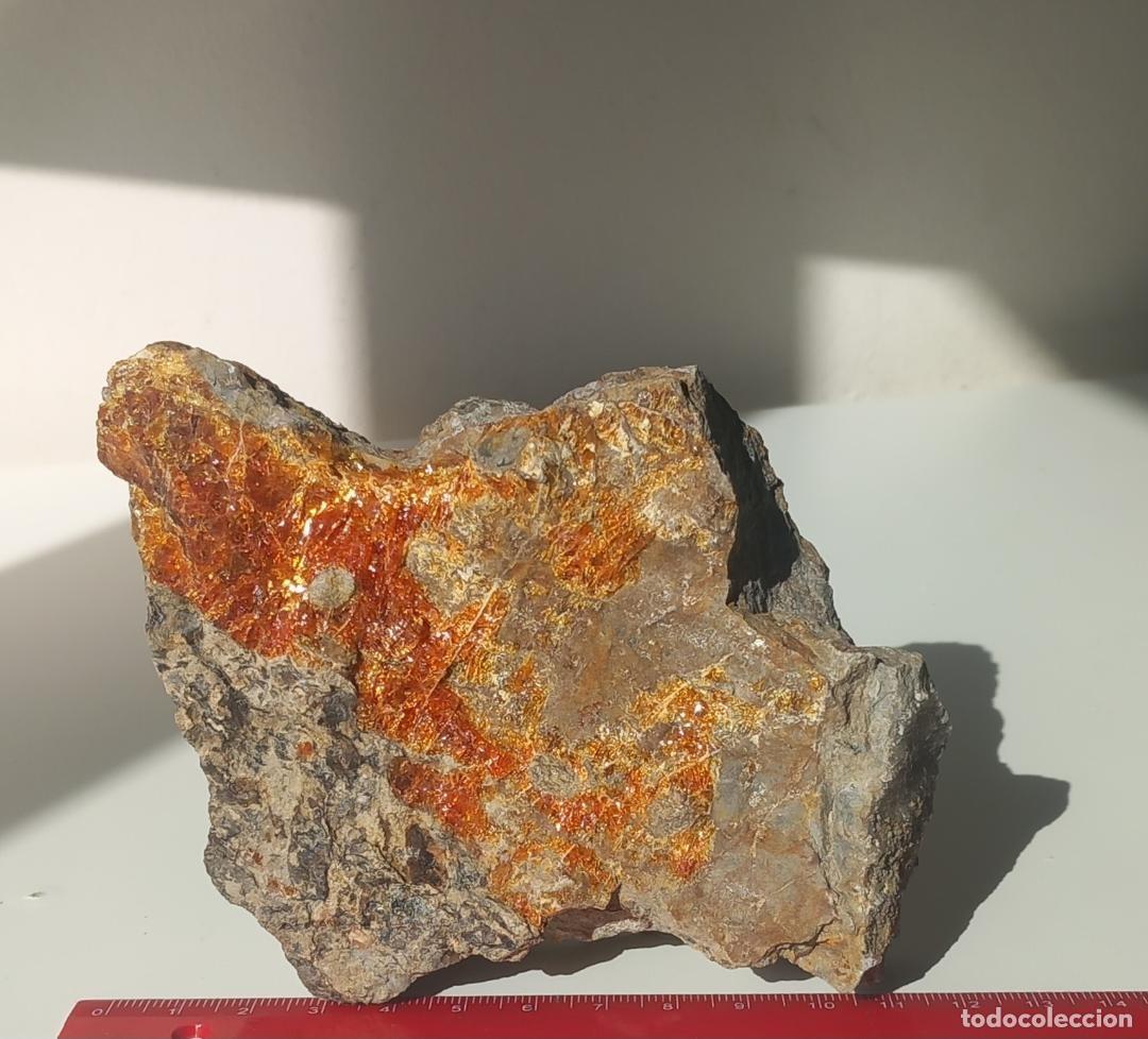 Coleccionismo de f&oacute;siles: &Aacute;MBAR NATURAL. CRET&Aacute;CICO. MINERALES. F&Oacute;SIL. GEMAS.