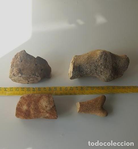 Coleccionismo de f&oacute;siles: CORAL F&Oacute;SIL. CRET&Aacute;CICO.