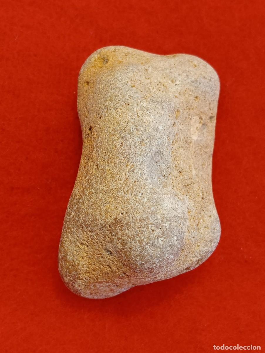 Coleccionismo de f&oacute;siles: HUESO F&Oacute;SIL DEL DINOSAURIO DROMAEOSAURIDO