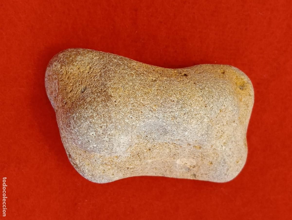 Coleccionismo de f&oacute;siles: HUESO F&Oacute;SIL ORIGINAL DEL DINOSAURIO DROMAEOSAURIDO