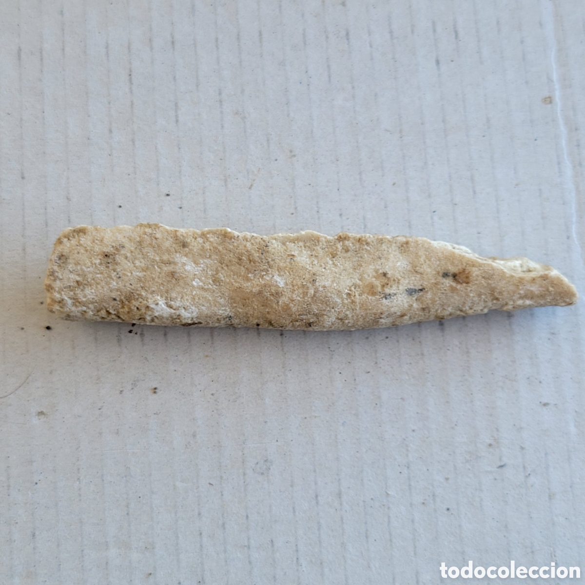 Coleccionismo de f&oacute;siles: Punz&oacute;n prehistorico. - Foto 2
