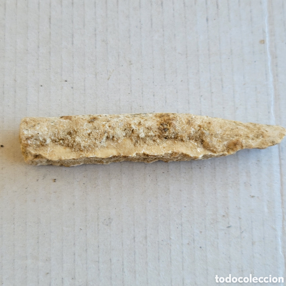 Coleccionismo de f&oacute;siles: Punz&oacute;n prehistorico.