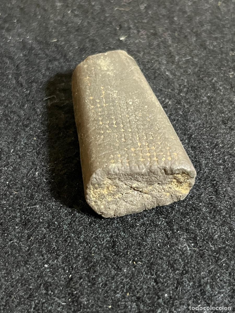 Colecionismo de f&oacute;sseis: F&oacute;sil belemnite marino antiguo cefal&oacute;podo jur&aacute;sico paleontolog&iacute;a colecci&oacute;n vintage