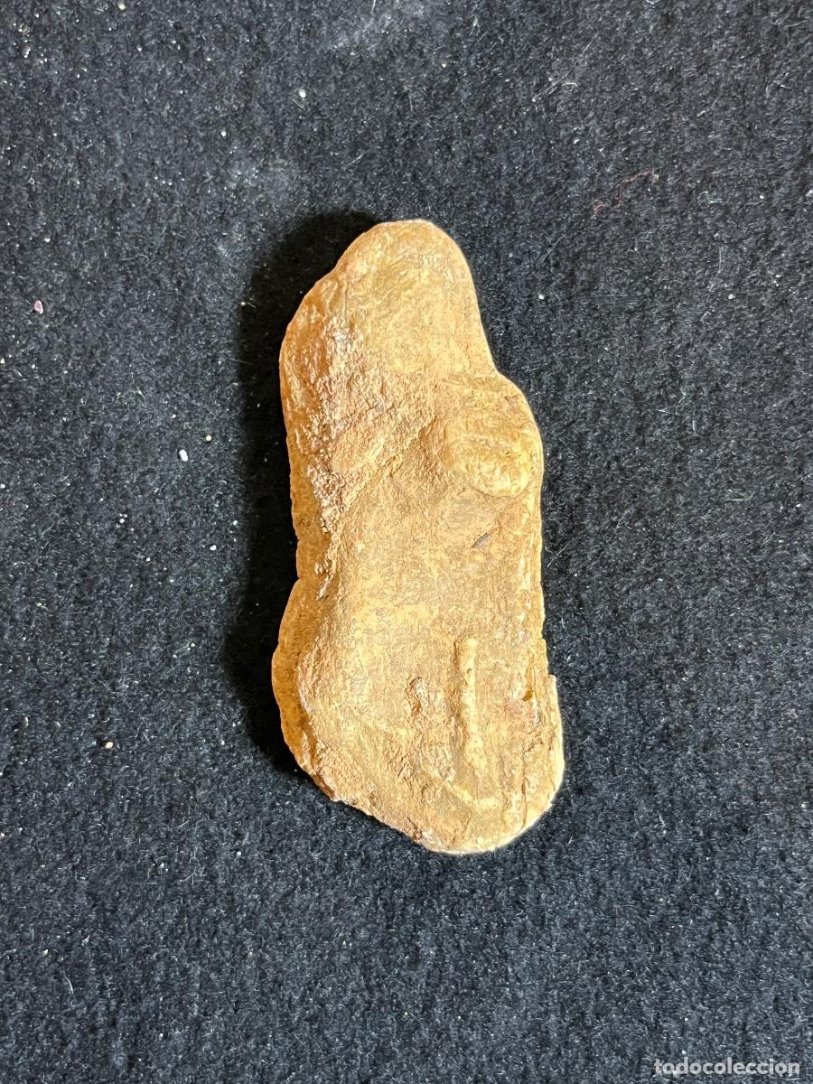 Collectionnisme de fossiles: &Aacute;mbar natural en bruto resina f&oacute;sil vintage mineral geolog&iacute;a colecci&oacute;n esot&eacute;rica
