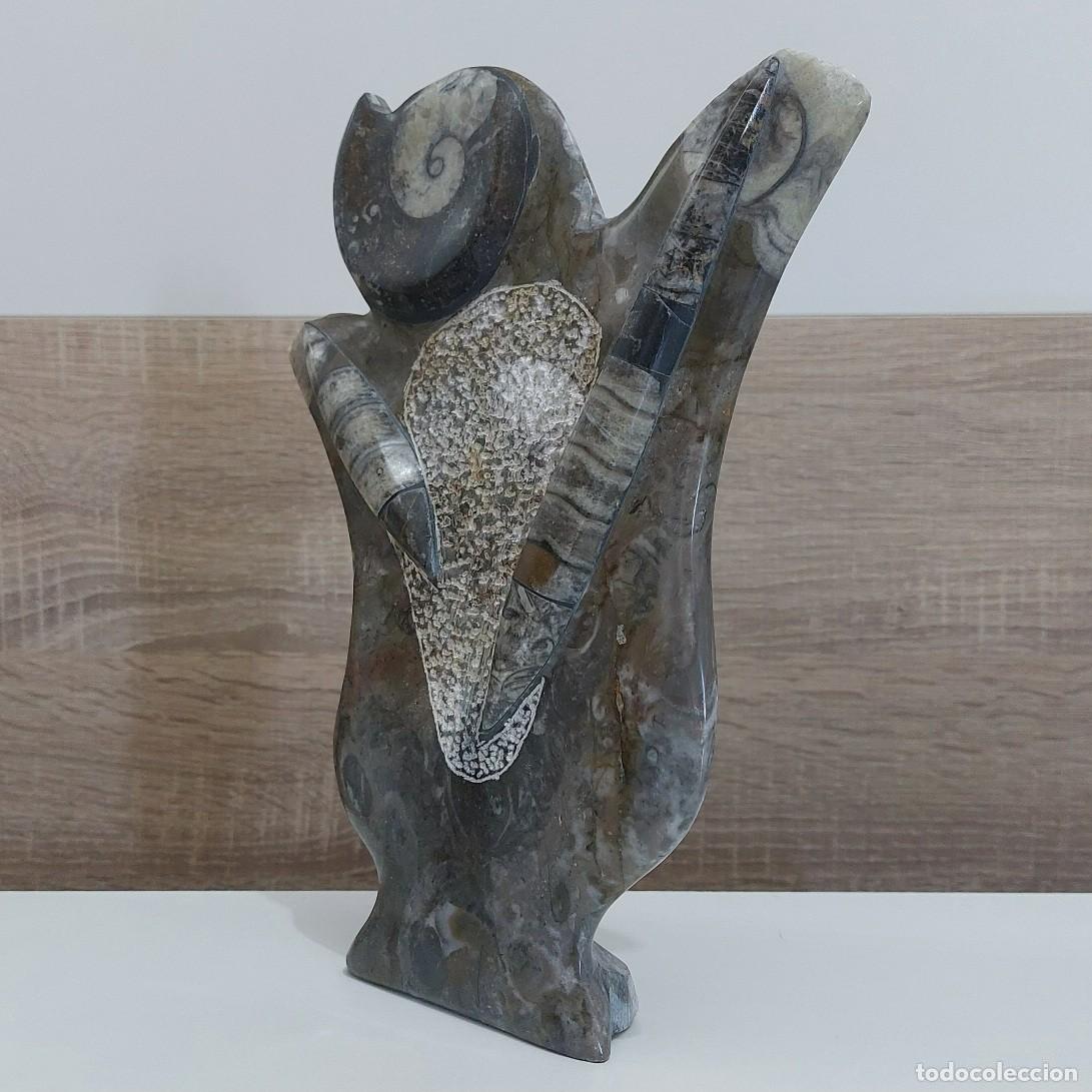 Coleccionismo de f&oacute;siles: Orthoceras y Amonite en Placa 25cm - Foto 6