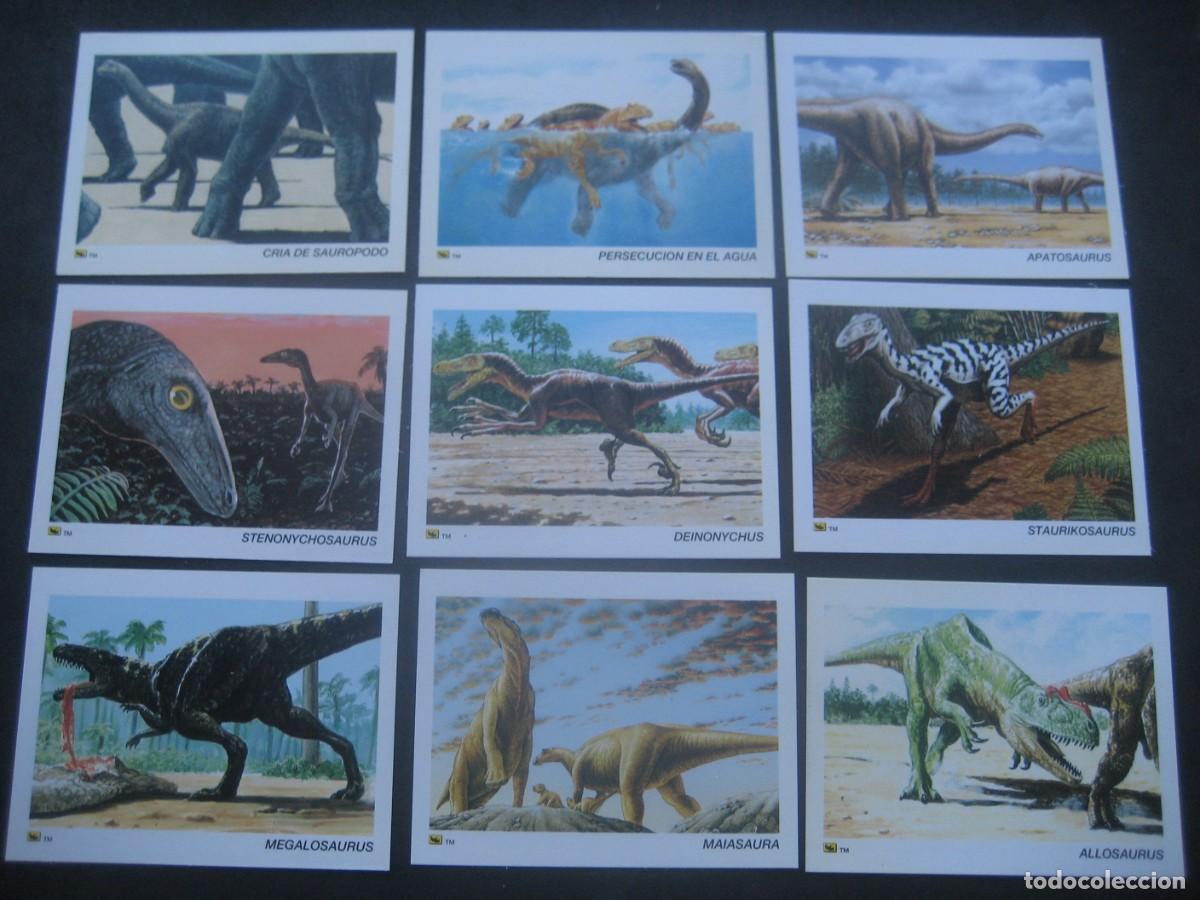 Coleccionismo de f&oacute;siles: 56 DINOTARJETAS. DINOSAURIOS, FOSILES, PALEONTOLOGIA