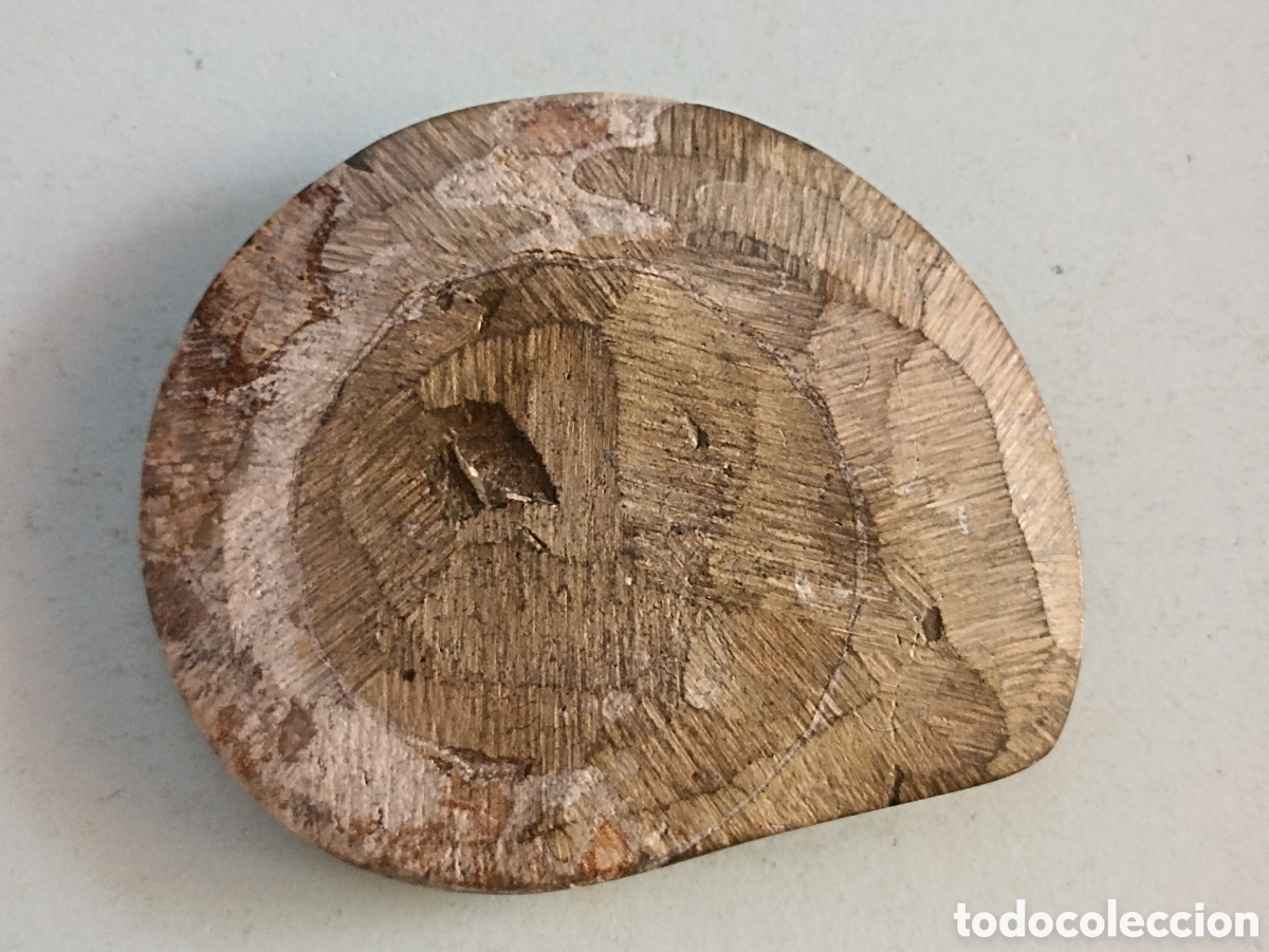 Coleccionismo de f&oacute;siles: F&oacute;sil amonite 10,5 x 9 cms - Foto 2