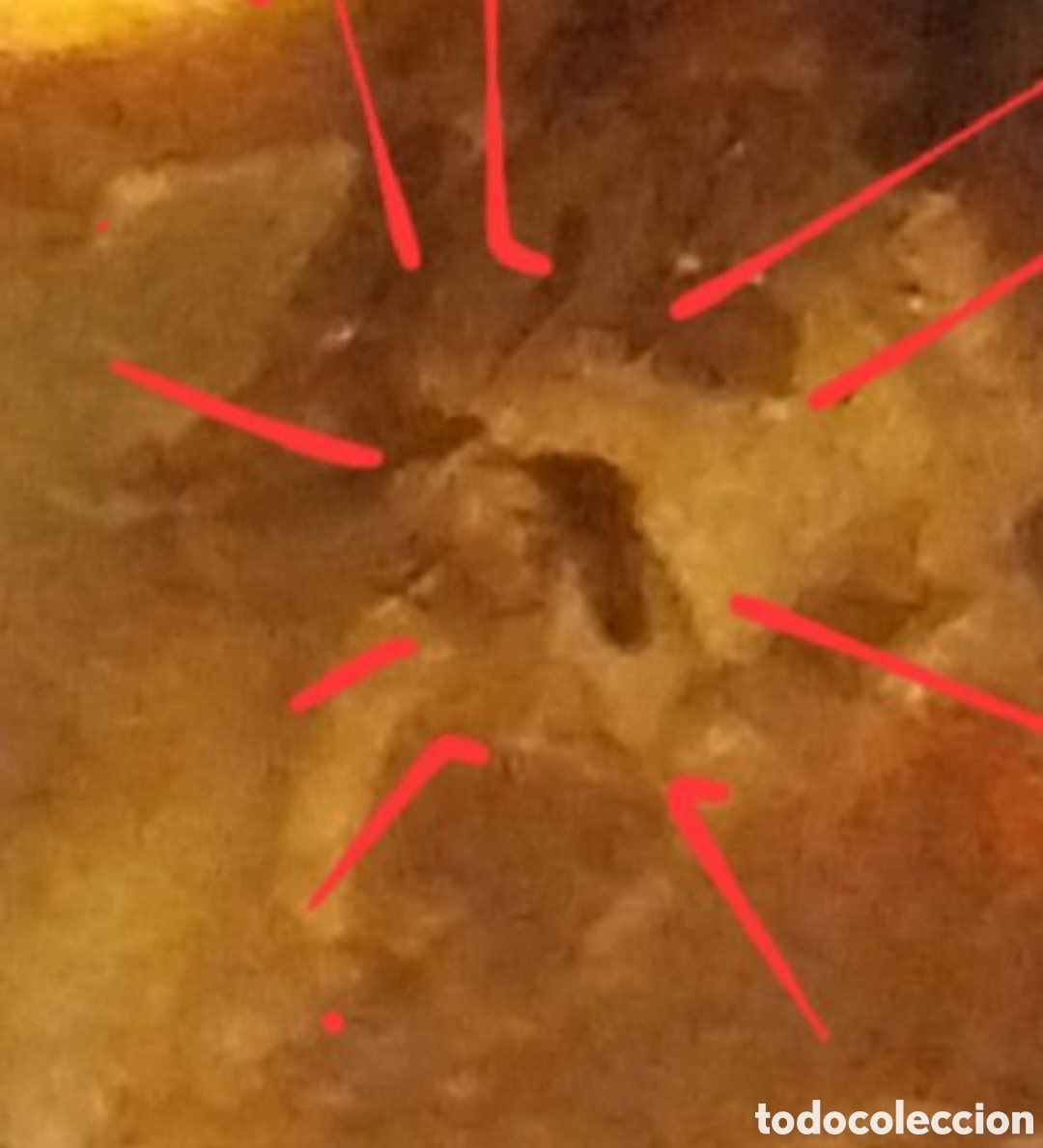 Sammlung von Fossilien: ​&Aacute;mbar B&aacute;ltico Aut&eacute;ntico con Inclusi&oacute;n F&oacute;sil de Mosquito+cole&oacute;ptero