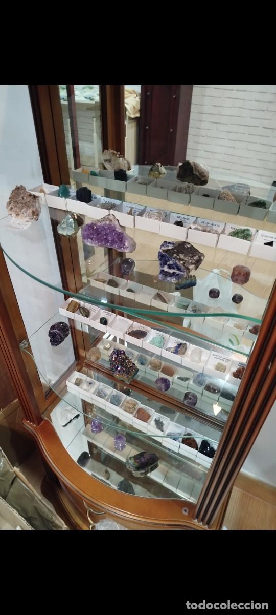 Coleccionismo de f&oacute;siles: GRAN COLECCI&Oacute;N DE MINERALES, GEMAS Y F&Oacute;SILES - SE VENDEN INDIVIDUALES O LOTES A MEDIDA