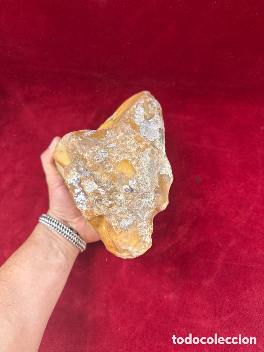 Coleccionismo de f&oacute;siles: Espectacular y grande piedra madre de Silex,+4 kg!