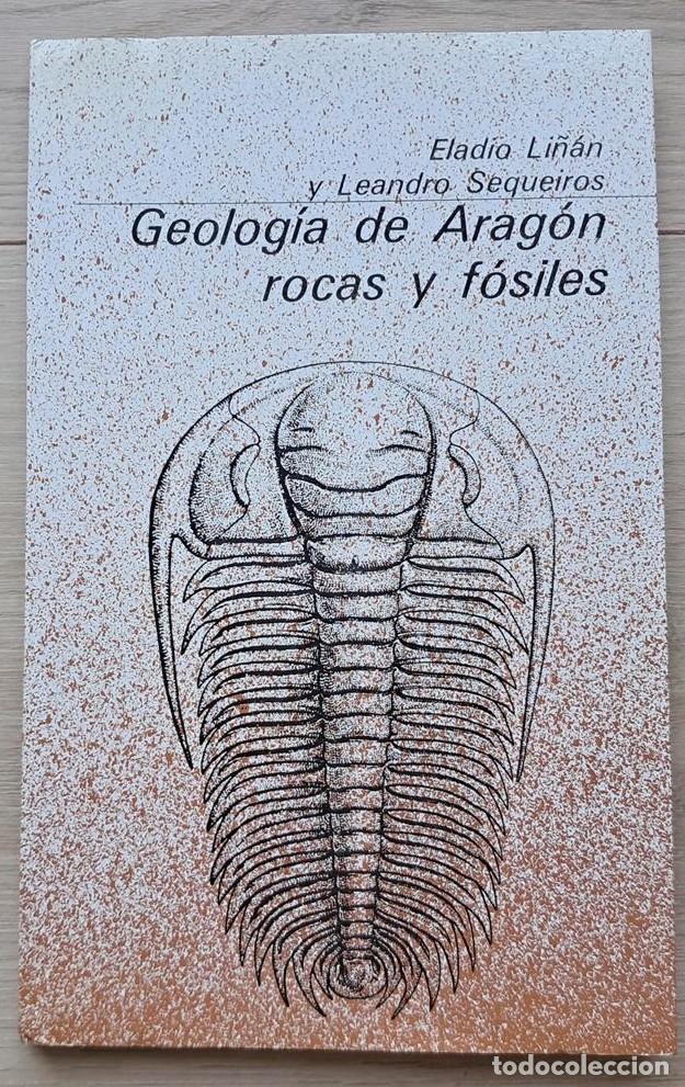 Coleccionismo de f&oacute;siles: GEOLOG&Iacute;A DE ARAG&Oacute;N &ndash; ROCAS Y F&Oacute;SILES-Editorial GUARA, Eladio Li&ntilde;&aacute;n y Leandro Sequiros