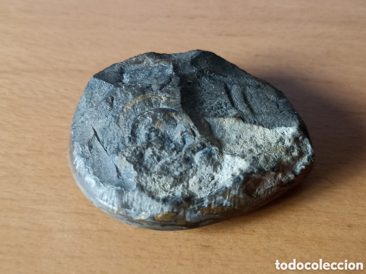 Coleccionismo de f&oacute;siles: F&oacute;sil amonite 4,5 x 4 cms - Foto 2
