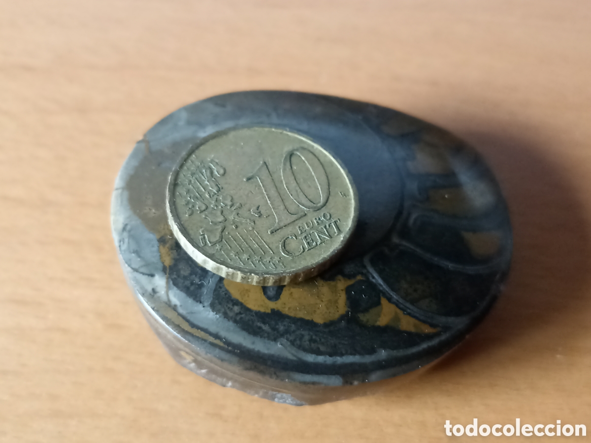 Coleccionismo de f&oacute;siles: F&oacute;sil amonite 4,5 x 4 cms - Foto 3