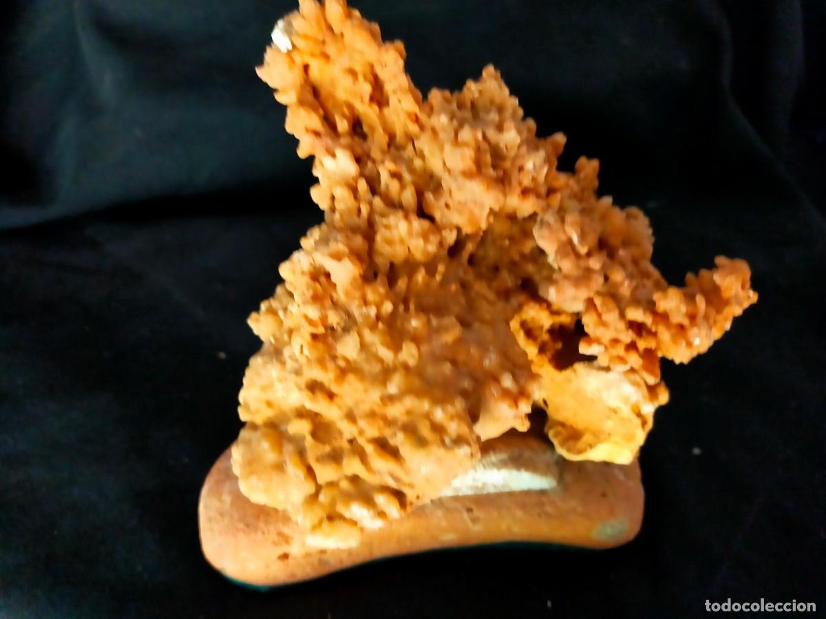 Coleccionismo de f&oacute;siles: COMPOSICI&Oacute;N CORALINA. CORAL NARANJA/MARR&Oacute;N. CIRCA A&Ntilde;OS 60. 800 GR. VER FOTOS.