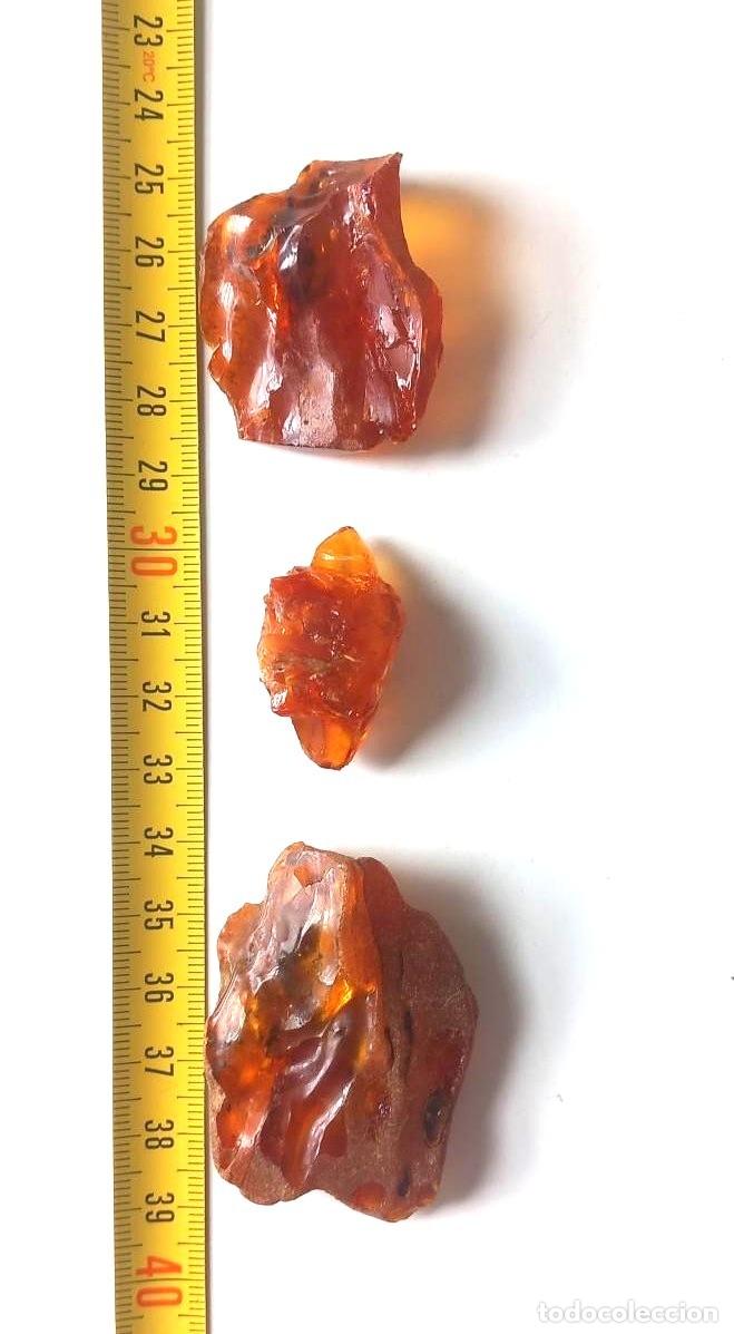 Coleccionismo de f&oacute;siles: &Aacute;MBAR DEL B&Aacute;LTICO EN BRUTO. F&Oacute;SIL. MINERALES.