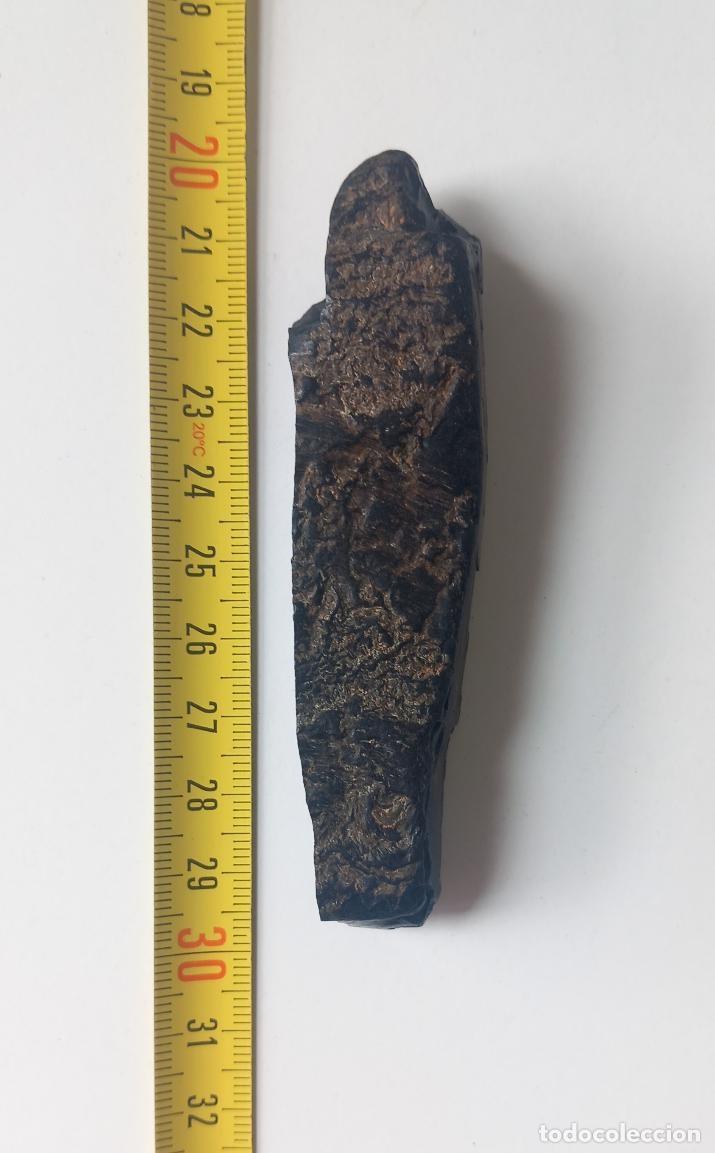 Coleccionismo de f&oacute;siles: AZABACHE EN BRUTO . ASTURIAS. GEMAS. MINERALES. JOYER&Iacute;A. F&Oacute;SIL. BRUJER&Iacute;A. AMULETO.
