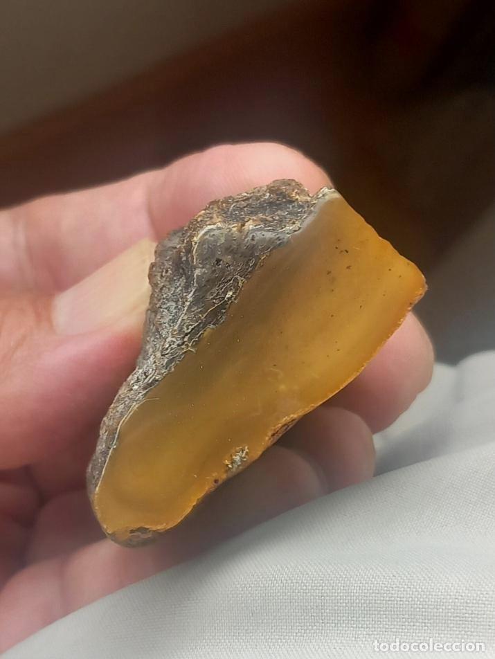 Coleccionismo de f&oacute;siles: &Aacute;MBAR DEL B&Aacute;LTICO EN BRUTO. F&Oacute;SIL. MINERALES.
