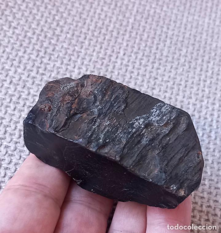 Sammlung von Fossilien: AZABACHE EN BRUTO. 53,6 GR . ASTURIAS. GEMAS. MINERALES. JOYER&Iacute;A. F&Oacute;SIL. BRUJER&Iacute;A. AMULETO.