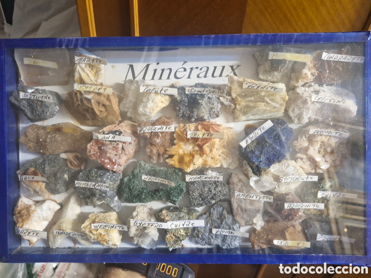 Collectionnisme de fossiles: Colecci&oacute;n de minerales.