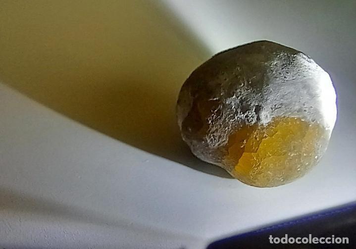 Collectionnisme de fossiles: MUY RARO ERIZO. SILIFICADO. OPALIZADO. TRASL&Uacute;CIDO. F&Oacute;SIL. MINERALES.