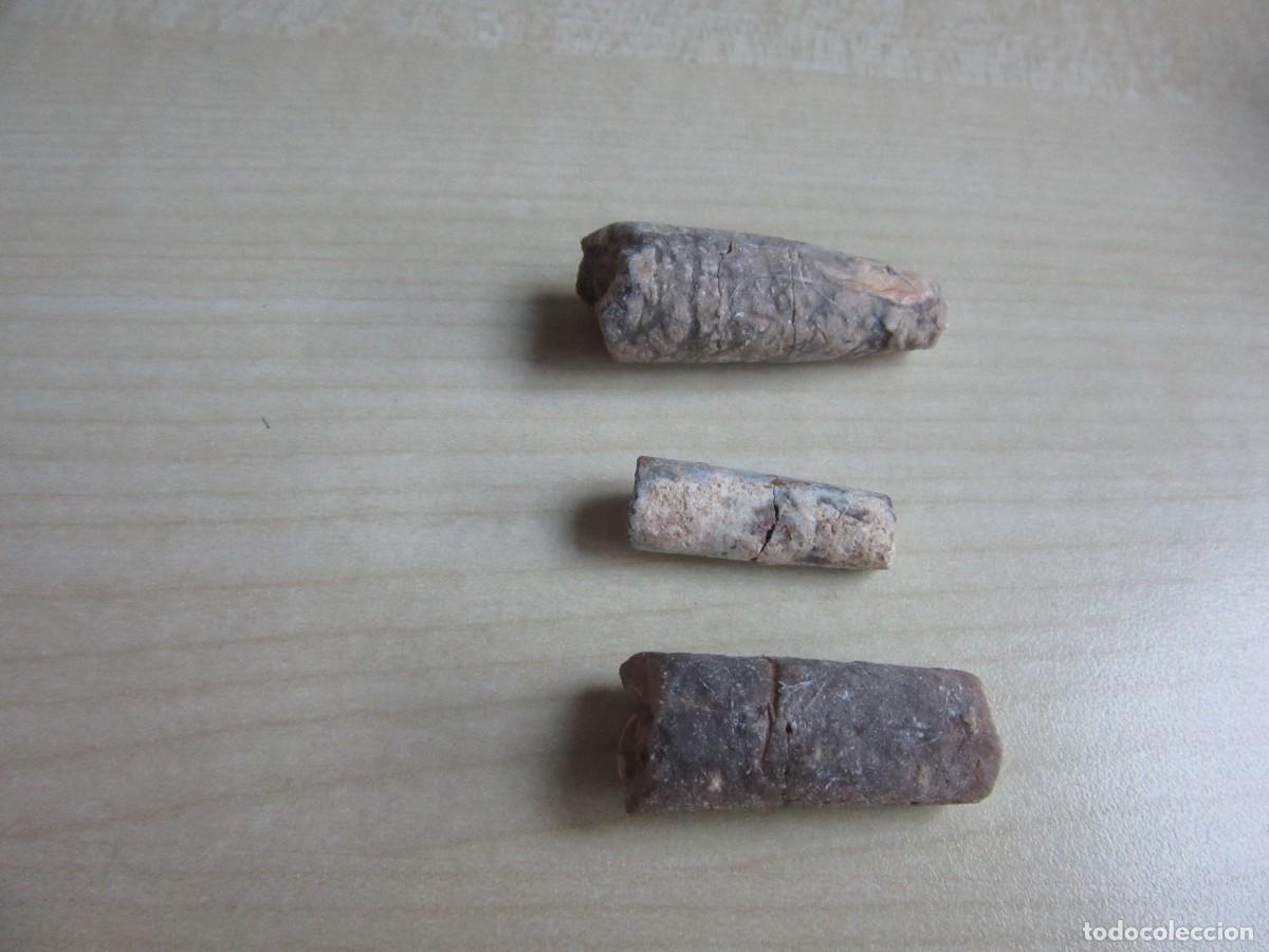 Coleccionismo de f&oacute;siles: 3 partes de belemnites Medidas 4 cm 3cm y 2,5 cm