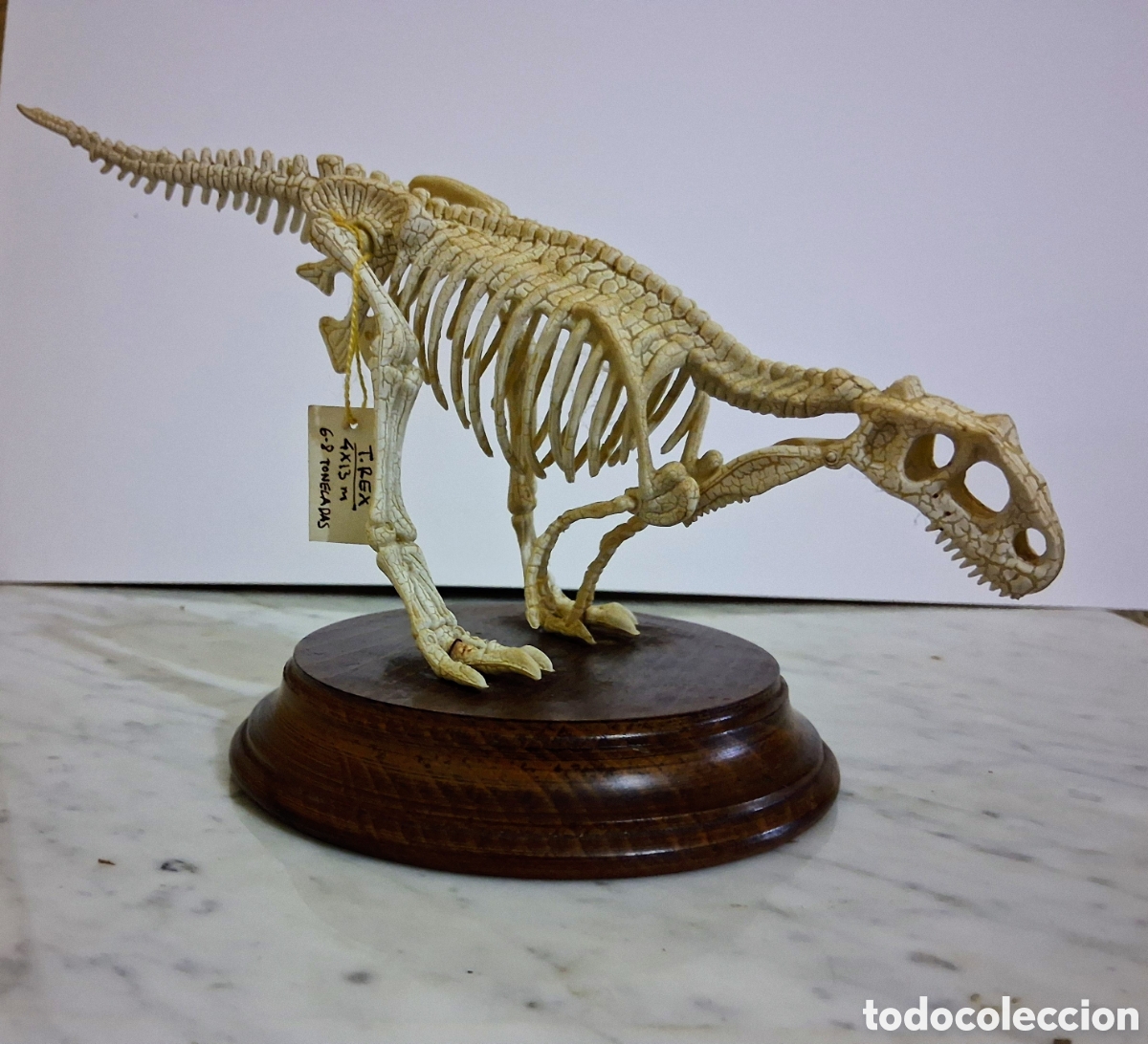 Coleccionismo de f&oacute;siles: R&eacute;plica Cient&iacute;fica Esqueleto Tyrannosaurus Rex - Modelo de Exposici&oacute;n con Peana de Madera Noble