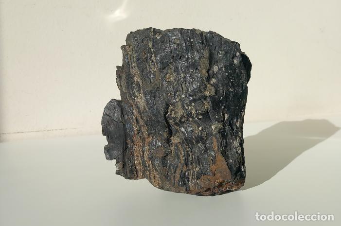 Coleccionismo de f&oacute;siles: TRONCO DE MADERA F&Oacute;SIL CON PIRITA. PER&Iacute;ODO CRET&Aacute;CICO. MINERALES.