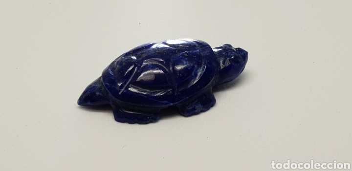 Coleccionismo de gemas: Tortuga de lapiszuli de 26 ct - Foto 2
