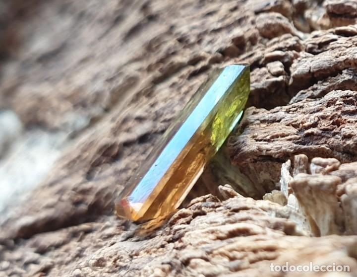 Coleccionismo de gemas: Turmalina Bicolor Gema - Foto 2